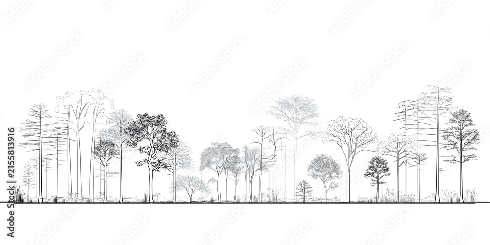 Fototapeta premium Architectural drawings, minimal style CAD tree line drawing, side view, set of section wetland forest outline for landscape design drawing. Vector illustration in separate elements