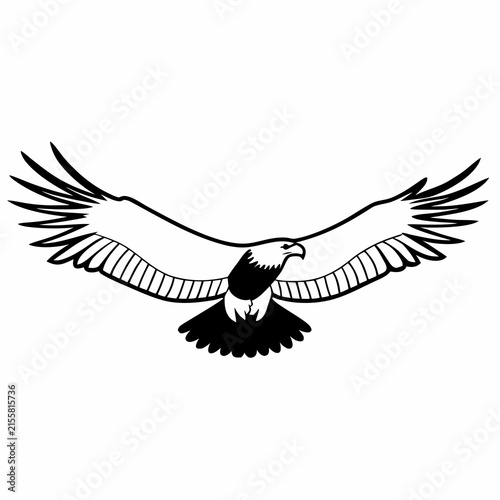 Eagle flying with outstretched wings in line art style.