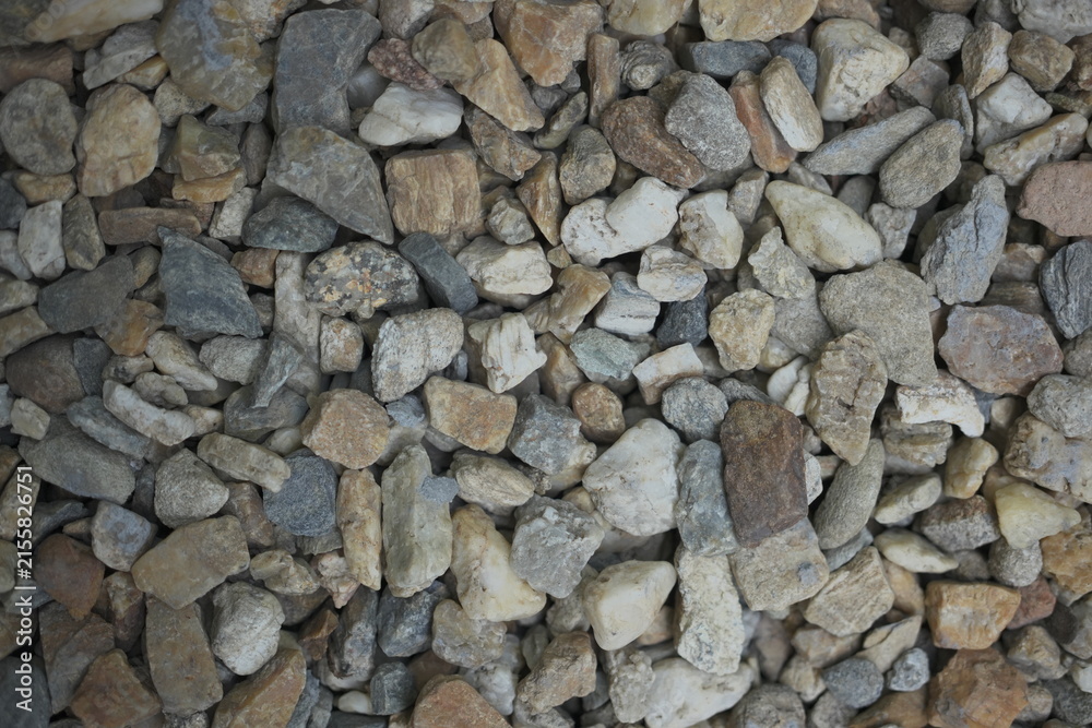 Naklejka premium A charming sidewalk features colorful stones, a winding pathway, and blocks covered in lush green moss, creating a natural, textured scene that blends urban structure with organic beauty.