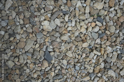 A charming sidewalk features colorful stones, a winding pathway, and blocks covered in lush green moss, creating a natural, textured scene that blends urban structure with organic beauty.