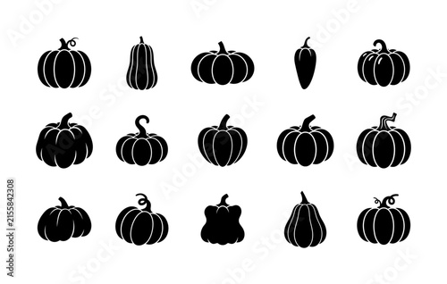 black and white pumpkin patch illustrations for Halloween decorations and autumn designs