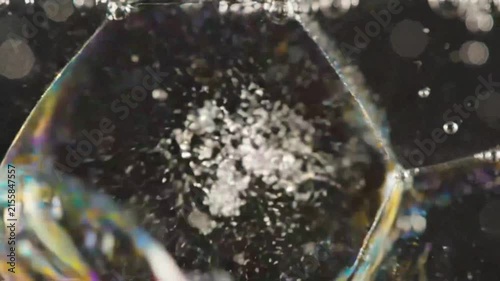Close-up of a bee inside a soap bubble in bright sunlight