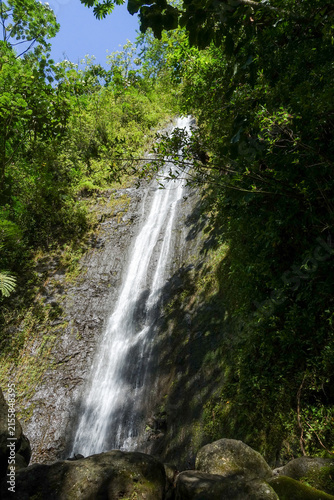 Canvastavla Tall slender waterfall pours down a mossy volcanic rock face framed by tropical rainforest foliage and boulders in Manoa Valley on O'ahu, Hawaii