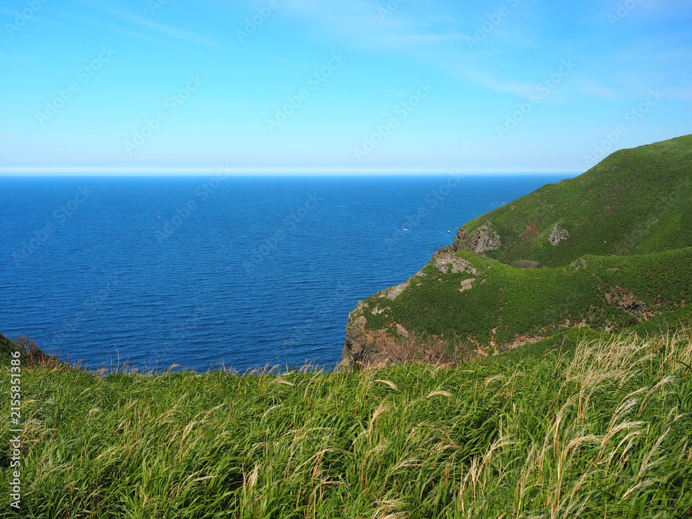 Fototapeta premium 千鳥ヶ浦園地に向かう途中の風景