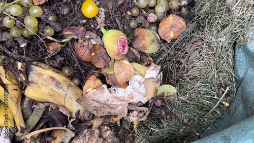 Canvastavla Close up view of vibrant seasonal foliage texture, fallen leaves scattered acros
