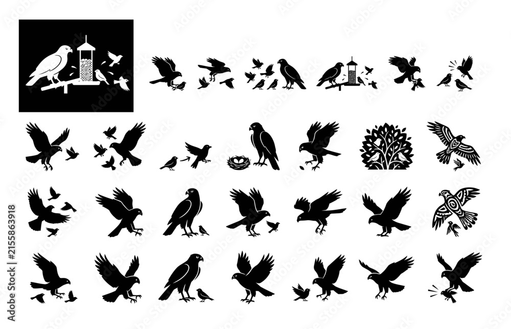 Fototapeta premium Set of bird silhouettes featuring hawks and eagles in various flight and perching poses.