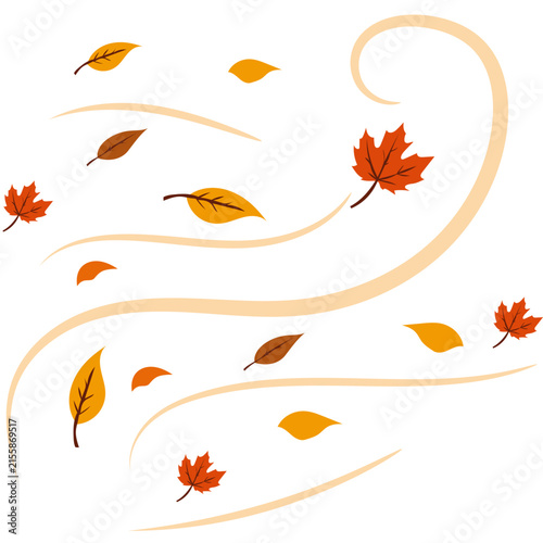 Wind Blowing Autumn Leaf