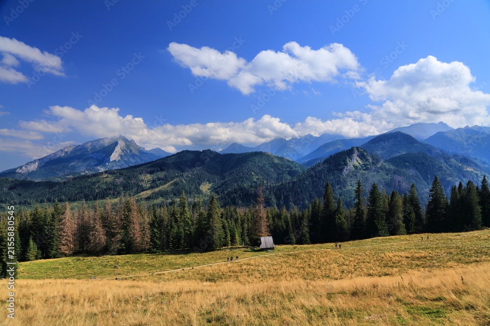 Naklejka premium Tatra mountains in Poland. Mountain view from Rusinowa Polana. September sunny day.