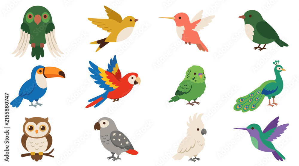 Obraz premium Diverse species of wild and exotic birds vector set featuring owl parrot peacock and hummingbird