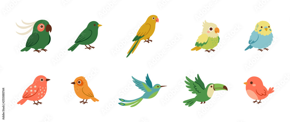 Fototapeta premium Colorful tropical birds illustration collection with parrot cockatoo toucan and hummingbird vector