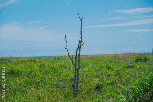 Canvas Print 野付半島、北海道の大自然を堪能できるスポット、北海道、日本