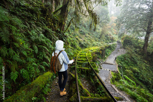 Hiker walking on mossy forest trail in Taipingshan Yilan Taiwan