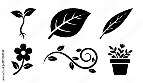Nature and botanical plant silhouette icons set with botanical silhouette collection illustration