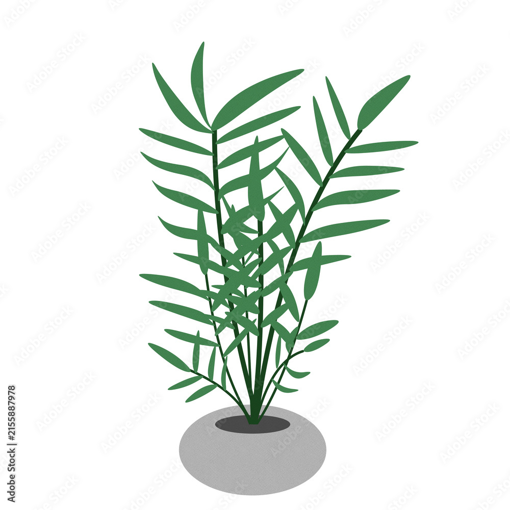 Fototapeta premium Potted green indoor palm plant in grey pot digital illustration isolated on transparent background