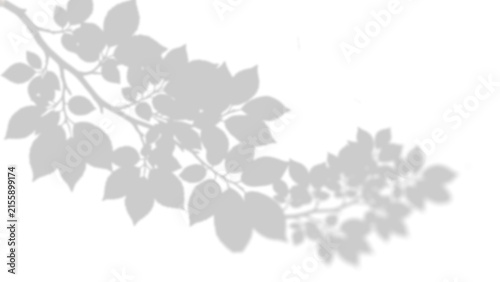 Soft Geometric Window Shadow Overlay with Diamond Pattern on Transparent Background 