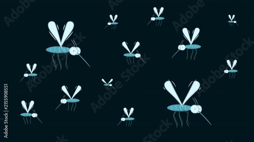 Swarm of 2D cartoon mosquitoes flying in night dark background. Animated insect cloud loop for pest control, night warnings, disease and virus concepts.