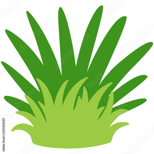 hand drawn Green grass tuft illustration