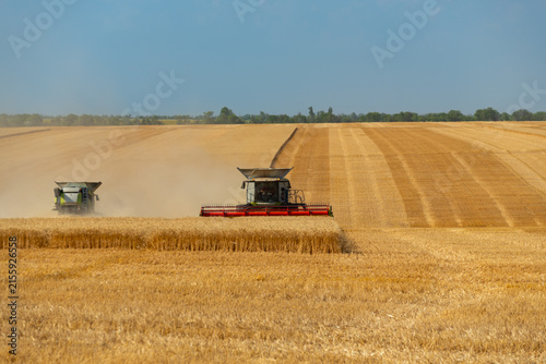 Canvas Print Modern combine harvester working in a golden wheat field during harvest season t