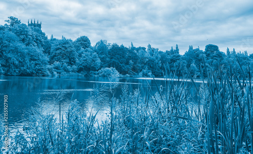 Attractive walk through trees around Lymm Dam, Lymm, Cheshire, UK