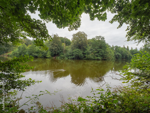 Attractive walk through trees around Lymm Dam, Lymm, Cheshire, UK