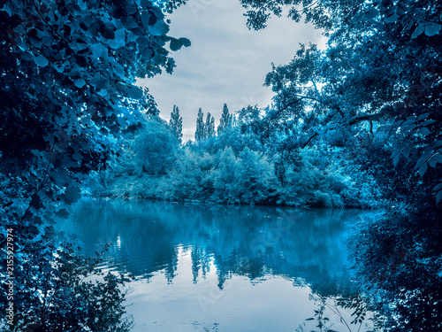 Attractive walk through trees around Lymm Dam, Lymm, Cheshire, UK