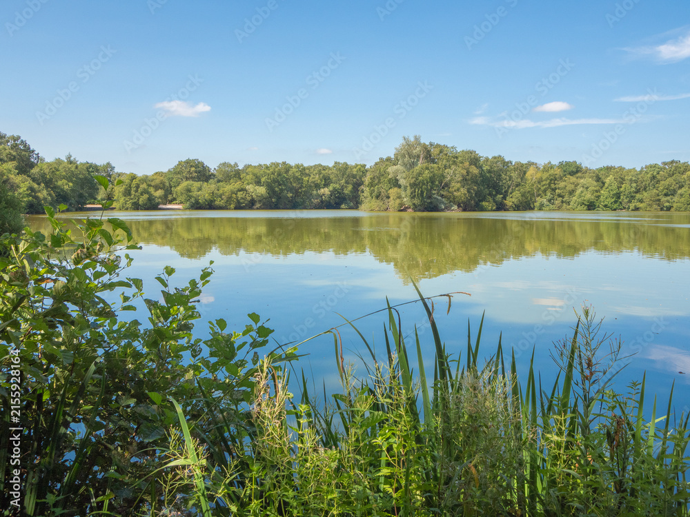 Obraz premium Lovely July summers day at Shackerley Mere , Cheshire, UK