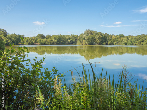 Lovely July summers day at Shackerley Mere , Cheshire, UK