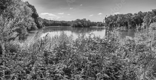 Lovely July summers day at Shackerley Mere , Cheshire, UK