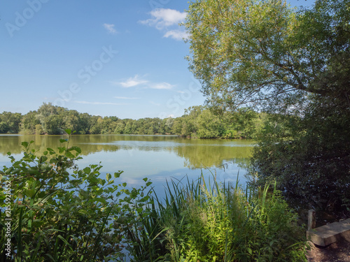 Lovely July summers day at Shackerley Mere , Cheshire, UK