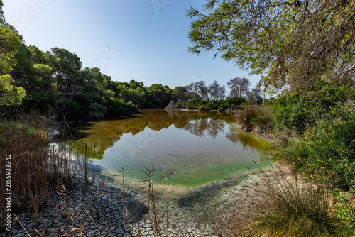 Raco de l'Olla, a lagoon at the Albufera Natural Park Interpretation Centre, Valencia, Spain