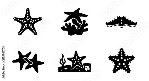 Starfish Icons, Marine Life Vector Graphics, Ocean Sea Creatures Silhouette Set
