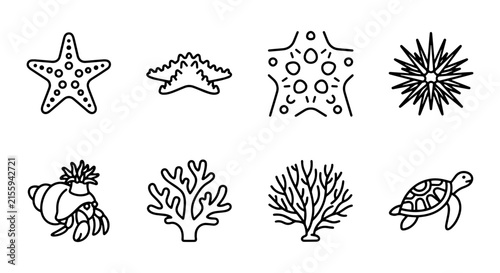 Ocean Life Icons: Starfish, Sea Urchin, Hermit Crab, Coral, Turtle Vector Set