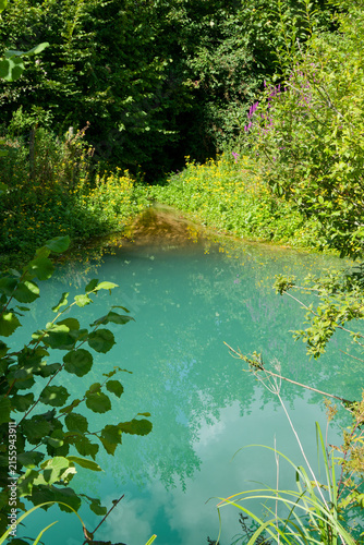 La Lys et sa source dans la commune de Lisbourg - Pas-de-Calais - France