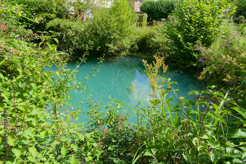Source de la Lys à Lisbourg - Pas-de-Calais - France 