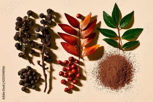 A colorful arrangement of spices, leaves, and coffee powder on a beige background.