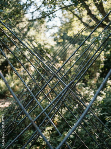Metal fence with crisscrossing rods partially covered by green foliage in woods