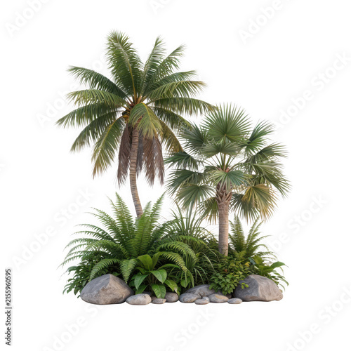 Tropical Palm Trees and Lush Ferns Arrangement with Decorative River Stones Isolated on White Background for Interior Design Elements