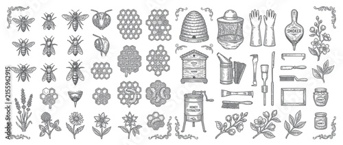 Vintage Bee and Beekeeping Illustration Collection