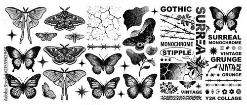 Vintage Moth and Butterfly Illustrations with Grunge Elements