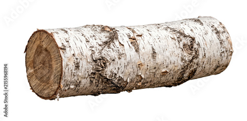 Konstfotografi Single birch log with distinctive white bark and visible growth rings