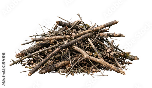 Картината върху платно Pile of dry branches and twigs with fallen leaves and moss