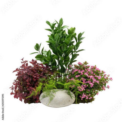 Lush Decorative Potted Arrangement Featuring Vibrant Green Foliage Mixed With Pink Flowering Shrubs And Deep Burgundy Leaves For Interior Decor