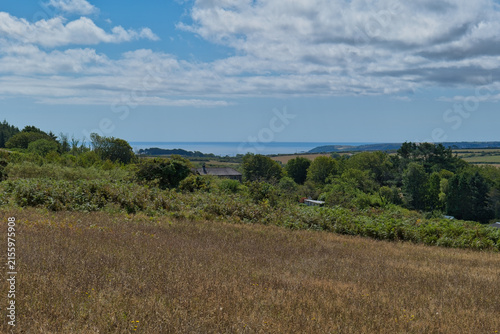 Fotografie A vibrant landscape photograph featuring a field in the foreground, green hills,
