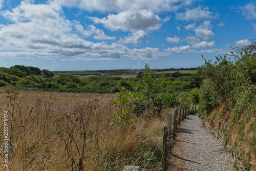Fotografie A scenic landscape featuring a winding gravel path descending into a valley with