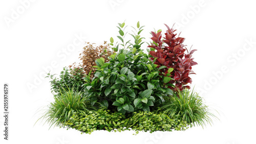 Lush Decorative Garden Shrubbery Arrangement Featuring Vibrant Green and Red Foliage Isolated on a Clean White Background for Landscaping Design