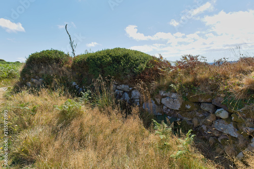Konstfotografi A landscape photo shows an old stone wall partially covered in green and dry bro