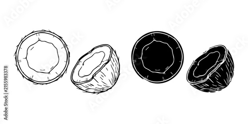 Collection of handdrawn coconut halves and whole coconuts