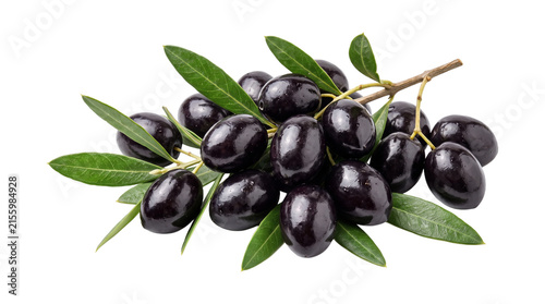 фотографія Ripe black olives hanging from green leafy branch for mediterranean food recipes and cooking concepts