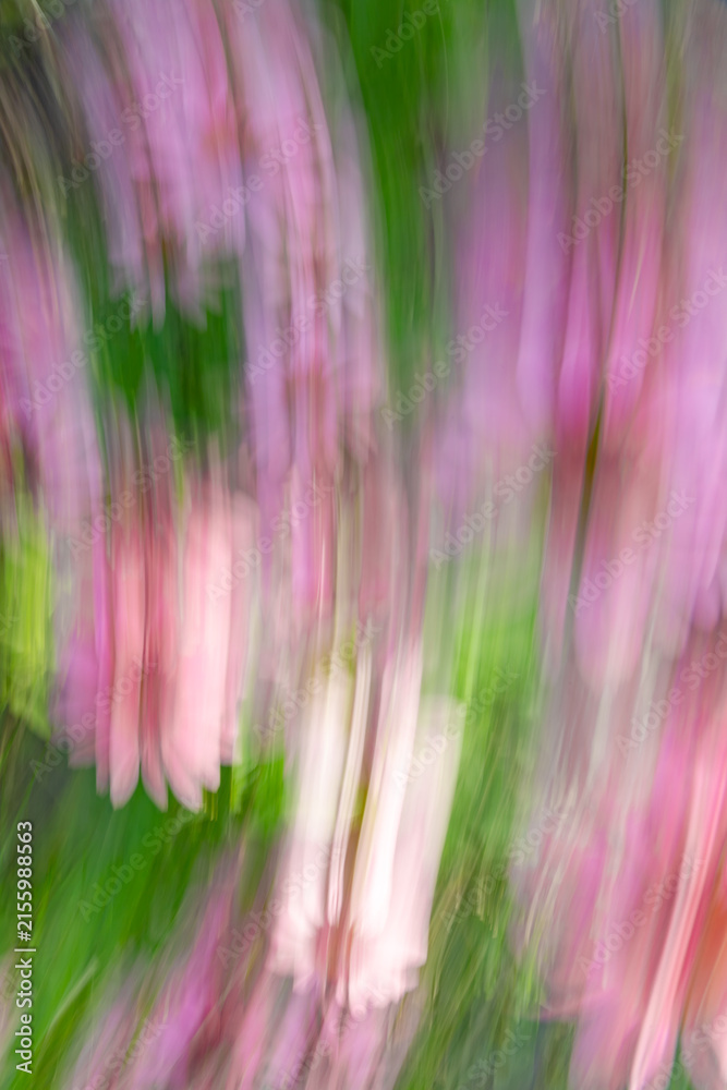 Fototapeta premium Close-up. Blurred image. Motion. Abstract background. Blooming flowers. Irregular pink and green patches.