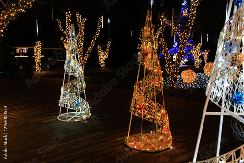 Light Christmas decorations shine at night in a garden setting during a holiday festival